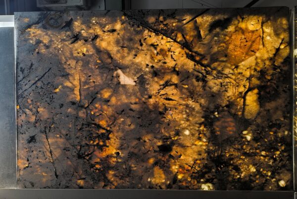 Delicatus Quartzite - Image 3