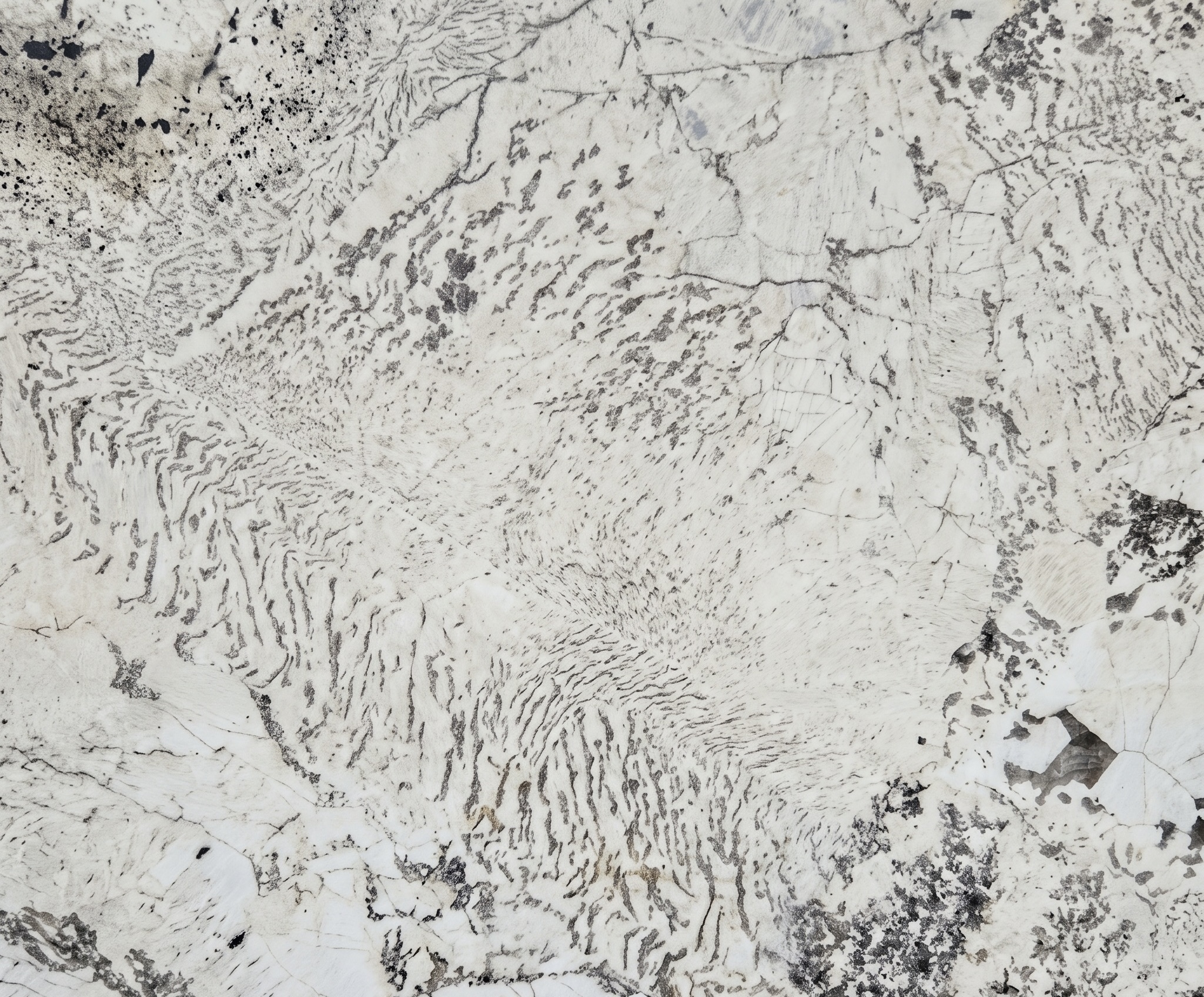 Alpinus White Natural Stone Slab for Kitchen Benchtop and Wall