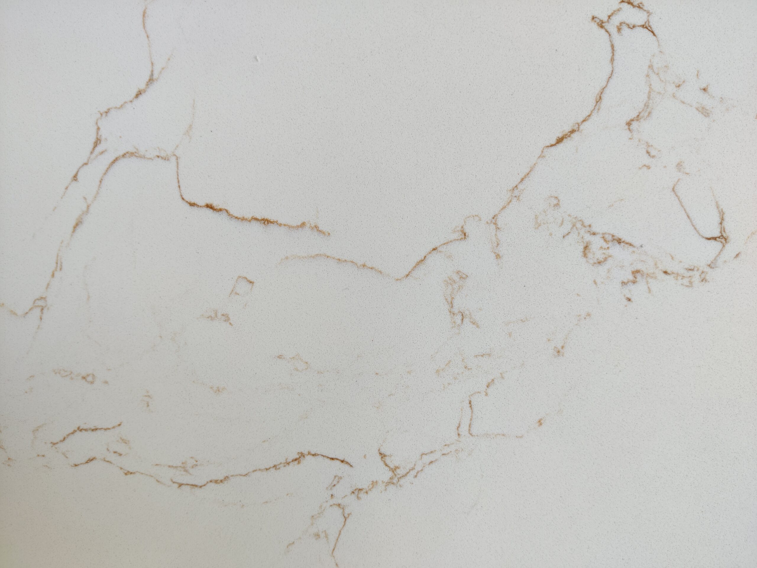 Calacatta Diana Gold - Image 2